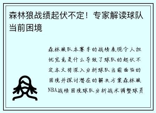 森林狼战绩起伏不定！专家解读球队当前困境